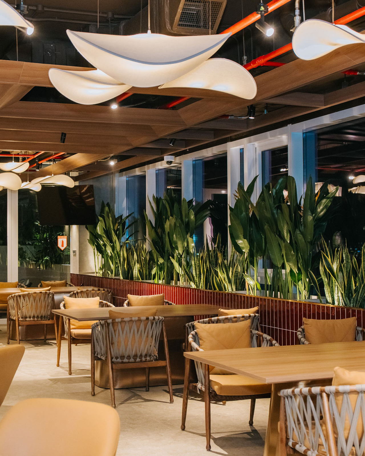 Hybrid Image Hybrid Image