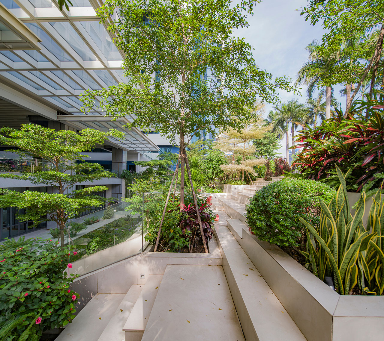 Looking Ahead Looking Ahead